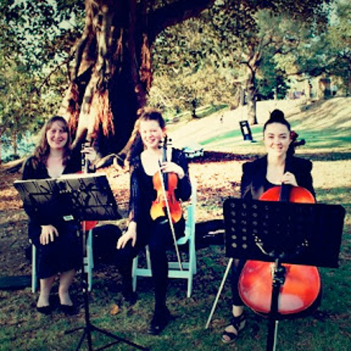 Stream Yellow by Coldplay Auer String Quartet by Auer String Quartet