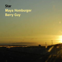 Star / Benedict Schlepper-Connolly / Homburger/Guy