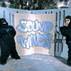 SoUnD WaVeS- Music EPK