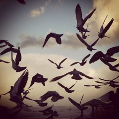 MAJIMIX2013-Majiman 30min DJ Set