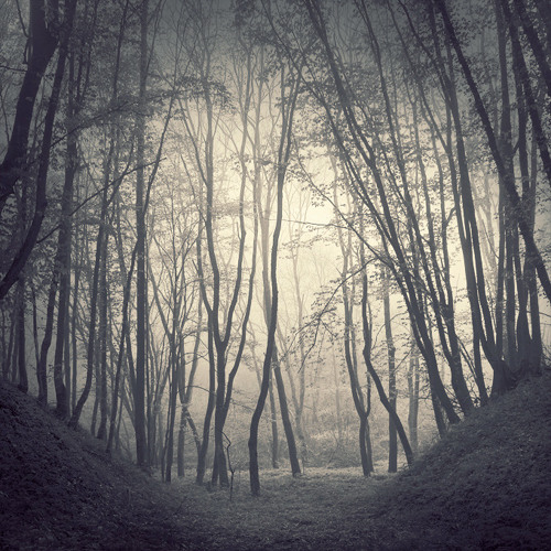 Into Deep (free download)
