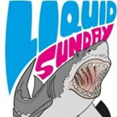 T.S.B.i.N- @ Liquid Sunday 9.0 - ALWO ALTENBURG