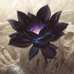 Black Lotus (Hörspiel, 2013)