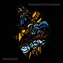 Pursuit Grooves - Broadcasting A Sensory Sequence (Album snippets)