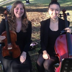 Flightless Bird by American Mouth - Auer String Quartet