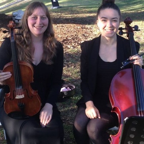 Flightless Bird by American Mouth - Auer String Quartet