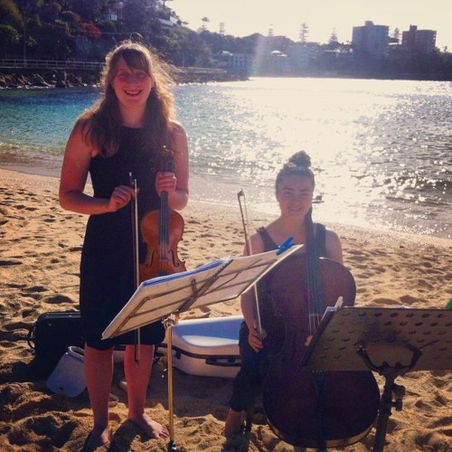 Charlie Brown by Coldplay - Auer String Quartet