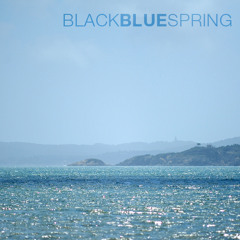 Black and blue spring
