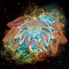 CRAB NEBULA