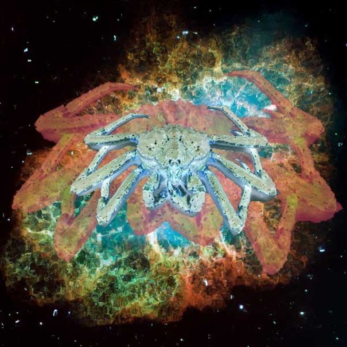 CRAB NEBULA