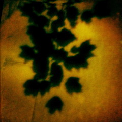 2luvrz (Recorded Live @ Driptruffle)