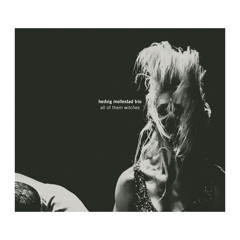 Hedvig Mollestad Trio - Lake Acid