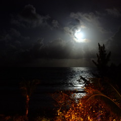 To Be Loved (original)