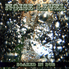 NOISE LEVEL - Soaked in Dub