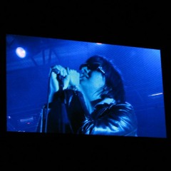 The strokes