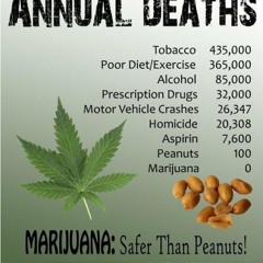 Marijuana (Is Not A Drug)