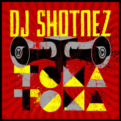 DJ Shotnez - Nighttime (feat Bomba Estereo) (Original Mix)