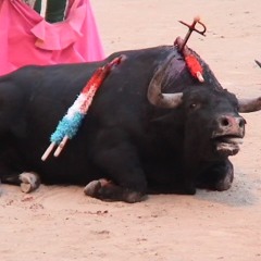 Para la Corrida by Maxime Ginolin