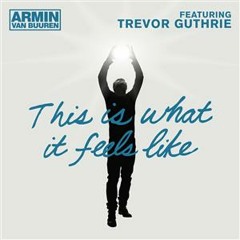 AvB feat. Trevor Guthrie - This is What it Feels Like