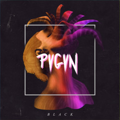 PVGVN - Black Sea