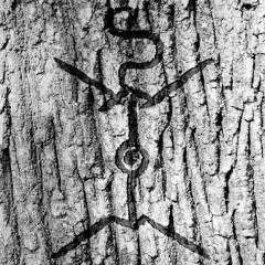 Ens - Before it Began