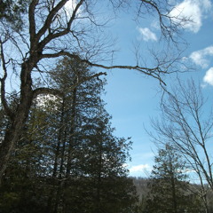 MADE AFTER SUPER no 4  MISSING...