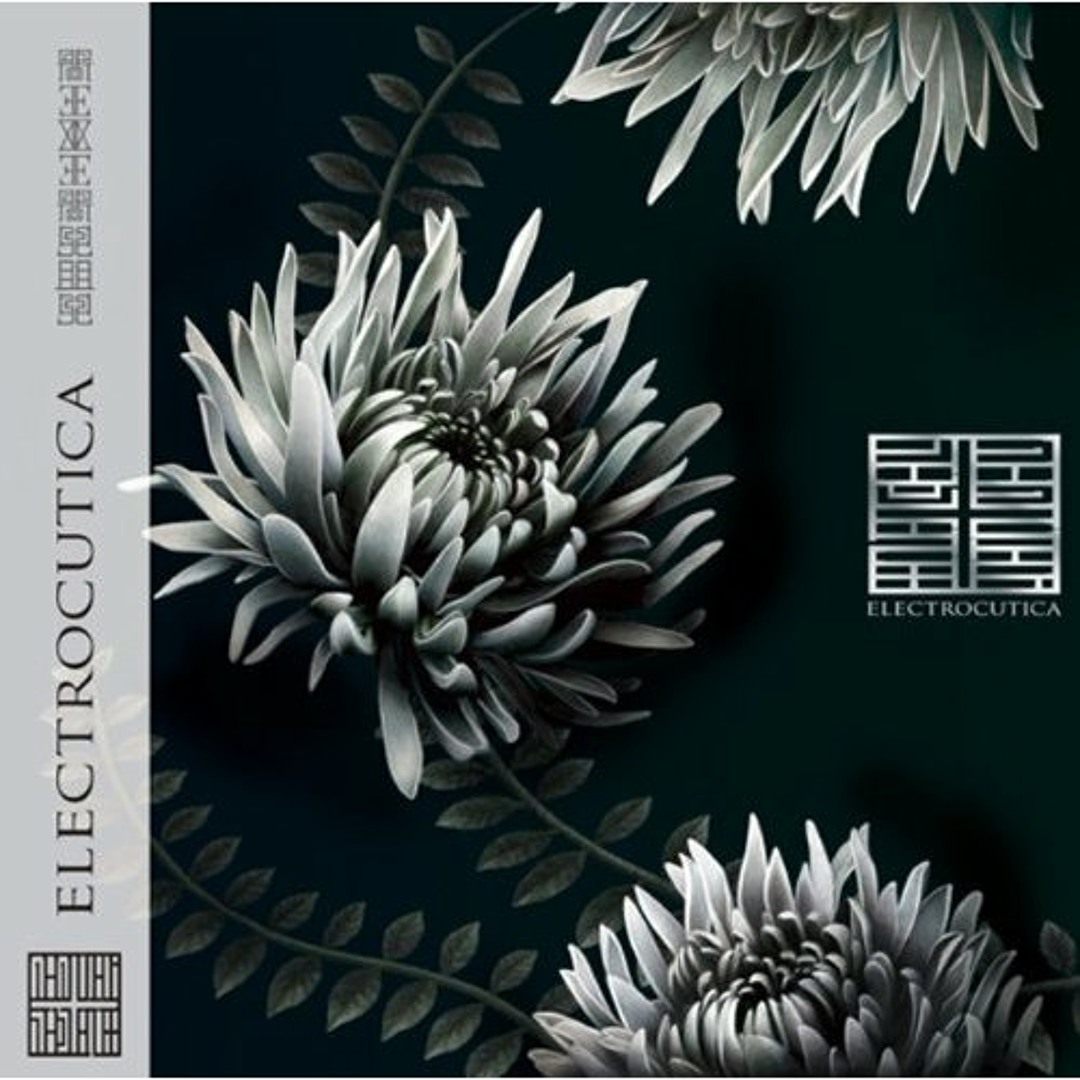 Electrocutica – Piece Of Cipher + – CD (Album), 2013