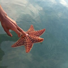 DeepTown & Yaluwas - treading turquoise