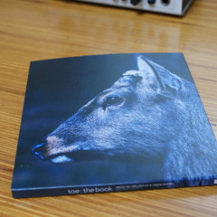 Toe_mukougishi ga miru yume_the book about my idle plot on a vague anxiety_
