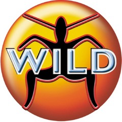 DJ Ricky D - Wild FM Tribute 1998 - 2003 (mix cd preview)