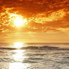 Avek & Tacker - sunset (dub) CLIP