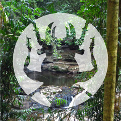 Meander - 755