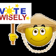 VOTE WISELY [DODZ 138 REMIX]