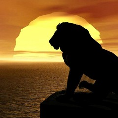 Can You Feel The Love Tonight