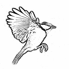 Djo[TN] feel so close