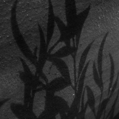 130403a_lament (잠들지 못한 밤)