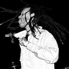 The Beat - Too Nice To Talk To (Live at Tramore Ska Festival - 29/03/2013)