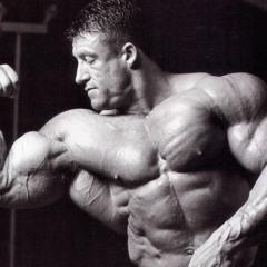 treino