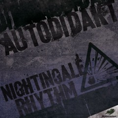 aUtOdiDakT - Nightingale Rhythm (Monophonique Remix)