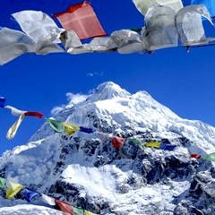 Path of the Sherpa