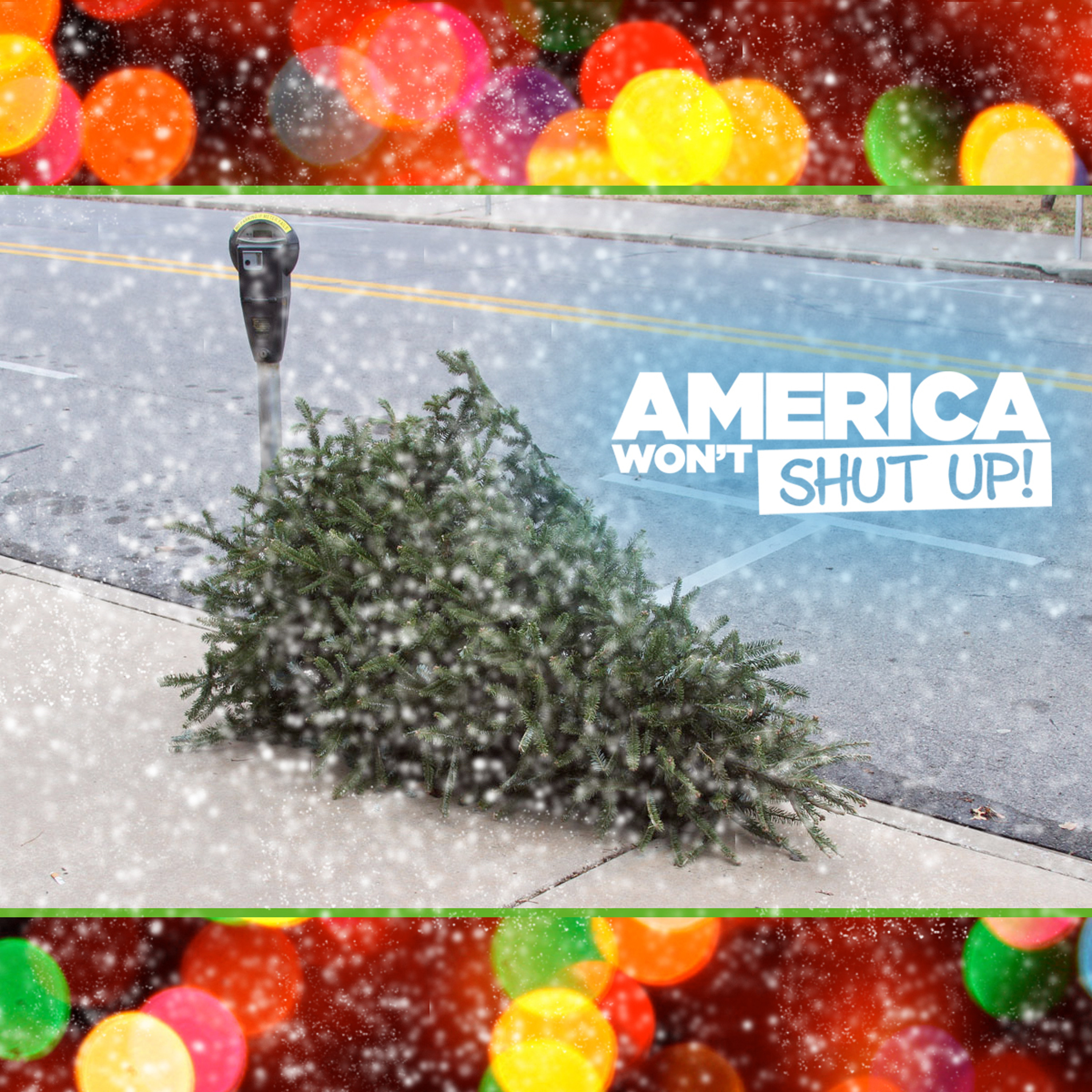 About Throwing Away Christmas Trees! with Rob Michael Hugel & Shannon Coffey