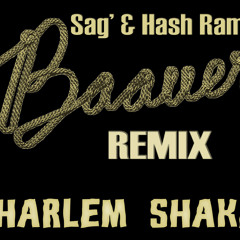 Sag' & Hash Ramon - Harlem Shake