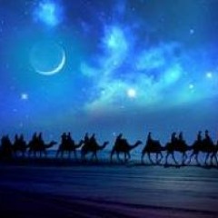 إلى رحاب اليثرب