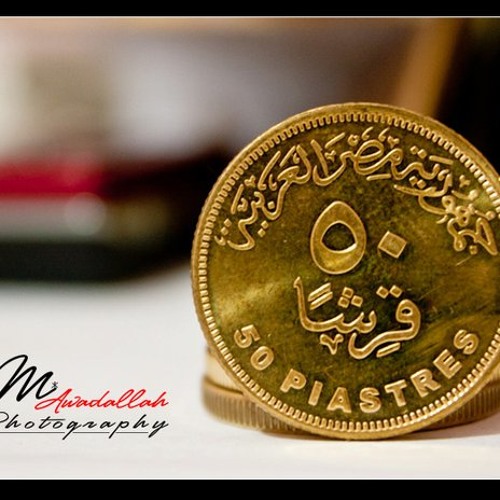 الشيخ إمام دار الفلك