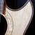 Artwork for Steve Tilston on DG-GL1 cutaway