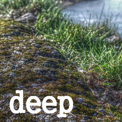 pdeep mixes 13-04 - Coffee and Friends