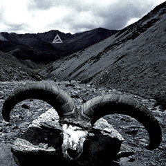 Love The Cook - Bao Quan [FREE DOWNLOAD!]