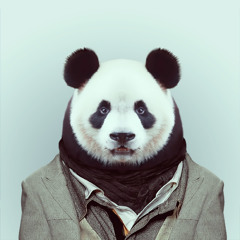 phil.panda // Promo Winter 2012