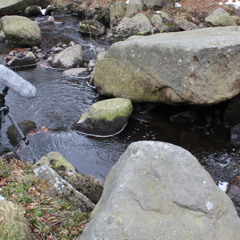 Winter's Stream