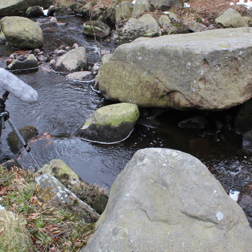 Winter's Stream
